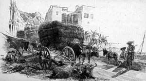 Wagony z trawą esparto, Almeria, Hiszpania, z „Malowniczego Morza Śródziemnego”, tom 3, wydanego przez Cassell and Co. Ltd. autorstwa English School