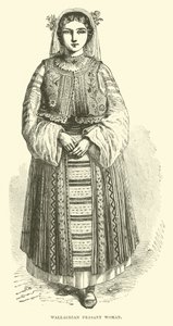 Wołoska wieśniaczka autorstwa English School