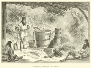 Wołosi destylują brandy śliwkowe autorstwa English School