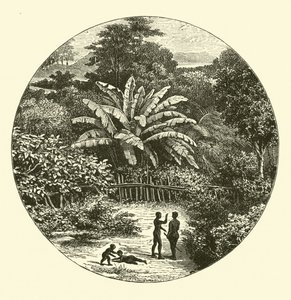 Afryka Zachodnia autorstwa English School