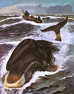 Polowanie na wieloryby autorstwa English School