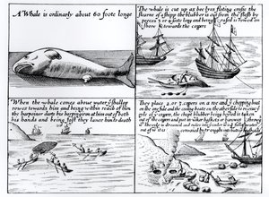 Wielorybnictwo na Spitzbergenie w 1611 r. autorstwa English School
