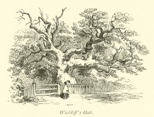 Wickliffs Oak  autorstwa English School