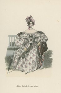 Magazyn Wiedeń, czerwiec 1834 autorstwa English School