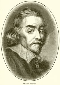 William Harvey autorstwa English School
