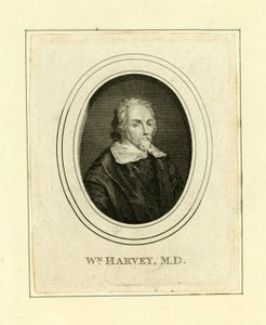 William Harvey autorstwa English School