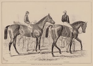 Zwycięzcy Middle Park Plate i Caesarewitch Stakes (grawerunek) autorstwa English School