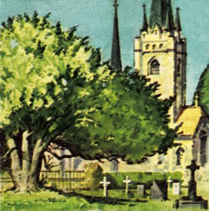 Cis na dziedzińcu kościoła autorstwa English School