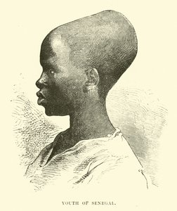 Młodzież Senegalu autorstwa English School