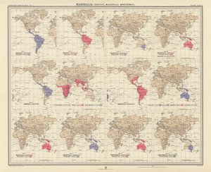 Zoogeografia: Mammalia, Edentata, Marsupialia, Monotremata (kolorowa litografia) autorstwa English School