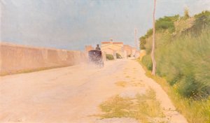 polish autorstwa Enrico Banti