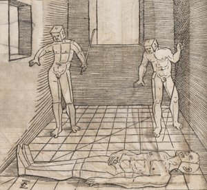 Ustalenie proporcji i położenia wybryków, 1538.