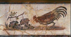 Kogut i winogrona, Herkulanum, Włochy (fresk) autorstwa Erich Lessing