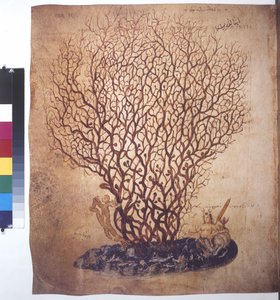  autorstwa Erich Lessing