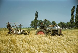 autorstwa Erich Lessing