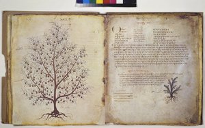  autorstwa Erich Lessing