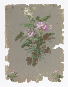 Ściana boczna autorstwa Ericson and Weiss