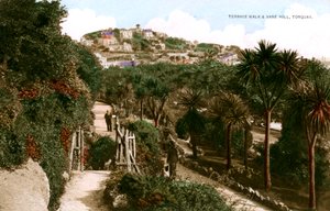 Terrace Walk and Vane Hill, Torquay, Devon, początek XX wieku. autorstwa Ern Bishop