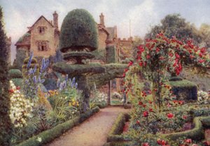 Delphiniums in the Herbaceous Border w Levens Hall (kolor lito) autorstwa Ernest Arthur Rowe
