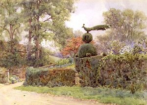Stary żywopłot cisowy, Speldhurst, Kent (akwarela) autorstwa Ernest Arthur Rowe