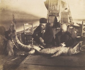 Sekcja zwłok pierwszego krokodyla na pokładzie, Górny Egipt, 1852 r.