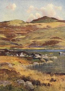 Loch Skae (kolorowa litografia)