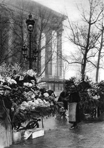 Targ kwiatowy u Madeleine, Paryż, 1931
