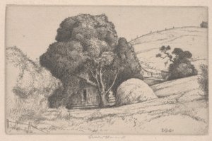 Stóg siana