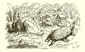 Zając i żółw