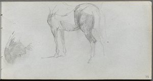 Szkicownik, s. 73: Studium konia, profil