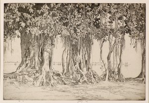 Drzewo Banyan