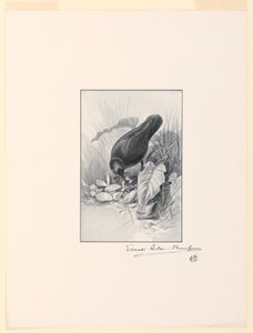Uchwyt chińskiego kubka, klejnot kolekcji autorstwa Ernest Thompson Seton