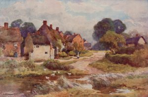 „Żebracka miotła” (kolor lito) autorstwa Ernest William Haslehust