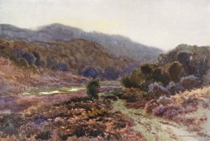 By Broomy Water (kolor lito) autorstwa Ernest William Haslehust