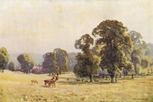 Cobham Park (kolor lito) autorstwa Ernest William Haslehust