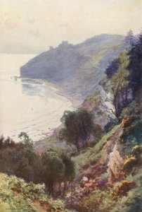 Durlston Bay, Swanage (członkowie kolorowi) autorstwa Ernest William Haslehust