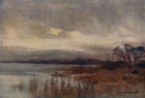 Hickling Broad (kolor lito) autorstwa Ernest William Haslehust