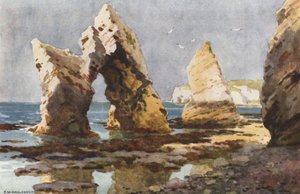 W zatoce słodkowodnej (kolor lito) autorstwa Ernest William Haslehust