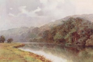 Tamiza: Cliveden Woods (kolorowa litografia) autorstwa Ernest William Haslehust