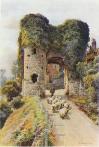 The Strand Gate, Winchelsea (kolor lito) autorstwa Ernest William Haslehust