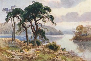 Virginia Water (kolor lito) autorstwa Ernest William Haslehust