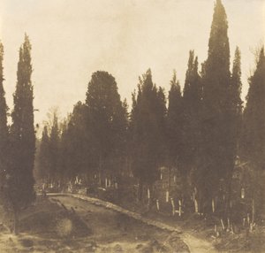 Turcja: Cmentarz w Scutari, 1852 (zdjęcie) autorstwa Ernest de Caranza