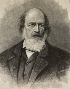 Portret Alfreda Tennysona (1809-1892), brytyjskiego poety, rycina Ernesto Mancastroppa z fotografii Barraud, z L