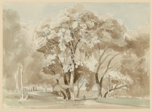 Grupa drzew w parku Villa Borghese w Rzymie autorstwa Ernst Fries