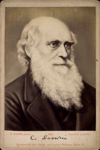 Karol Darwin, brytyjski przyrodnik, ok. 1860-c1870 autorstwa Ernst Hader