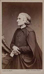 Portret kompozytora Franciszka Liszta 1811-1886. autorstwa Erwin Hanfstaengl