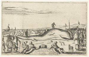 Wieloryb wyrzucony na plażę w Noordwijk, 1614