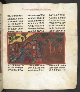 Lub. 607 f051r, Scena z życia Matki Boskiej, z 