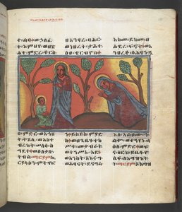 Lub. 607 f174r, Scena z życia Matki Boskiej, z 