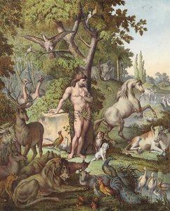 Adam w rajskim ogrodzie (kolorowa litografia) autorstwa Etienne Antoine Eugene Ronjat